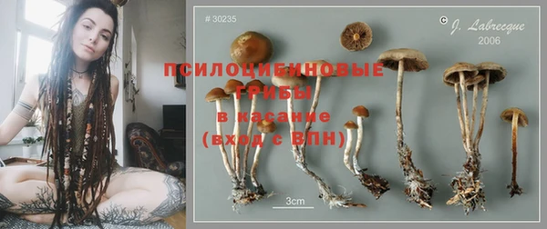 соль ск Ельня