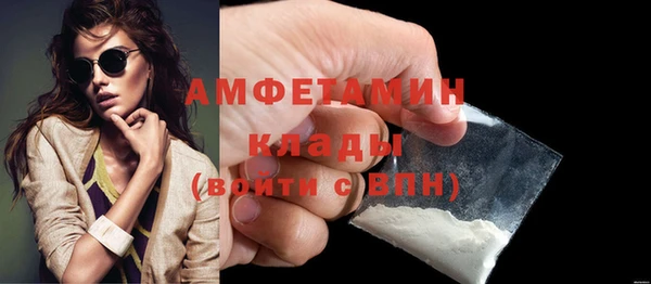прущие грибы Заволжье