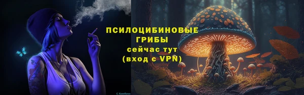 спиды Заводоуковск