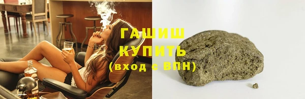 соль ск Ельня