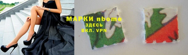 соль ск Ельня