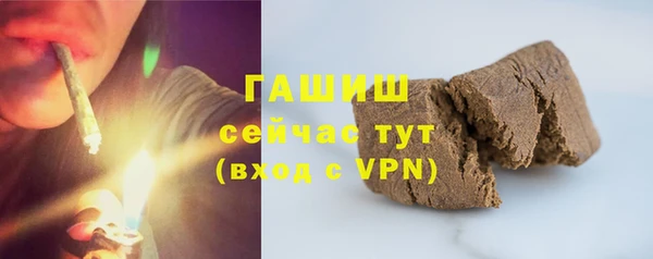 соль ск Ельня