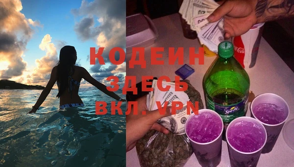 прущие грибы Заволжье