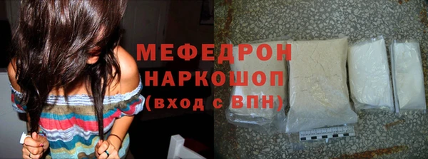 соль ск Ельня