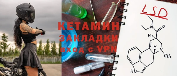 соль ск Ельня