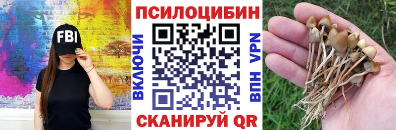Галлюциногенные грибы мицелий  где продают   Венёв 
